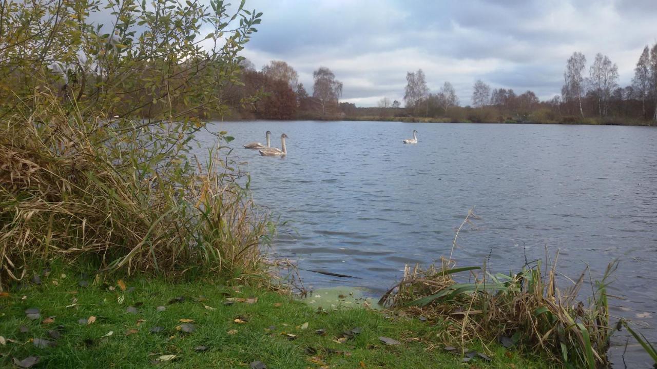 Wohnung Am Wald Witzeeze Buitenkant foto